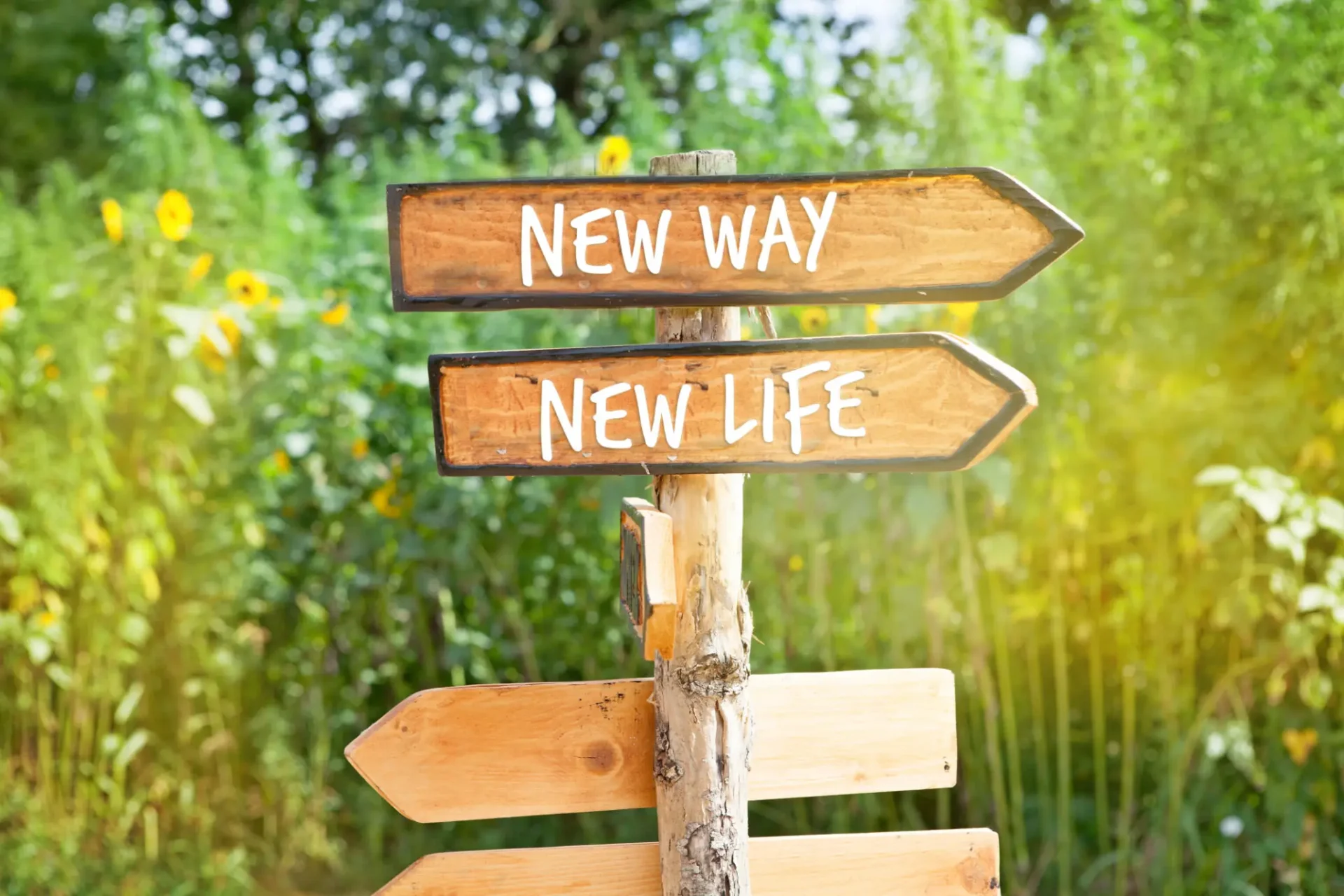 Wooden signpost with arrows labeled New Way and New Life in a green forest.